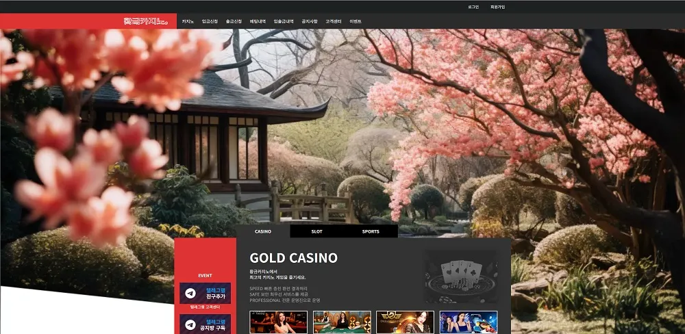 황금 CASINO